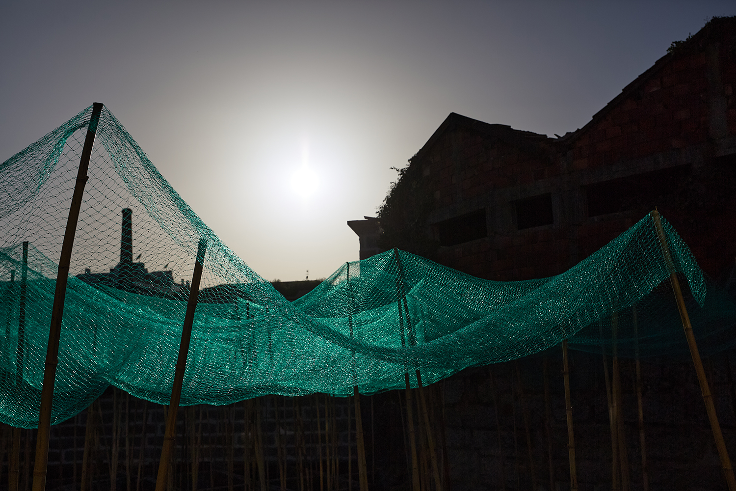 Net by Ai Weiwei | Photo by Pedro Figueiredo